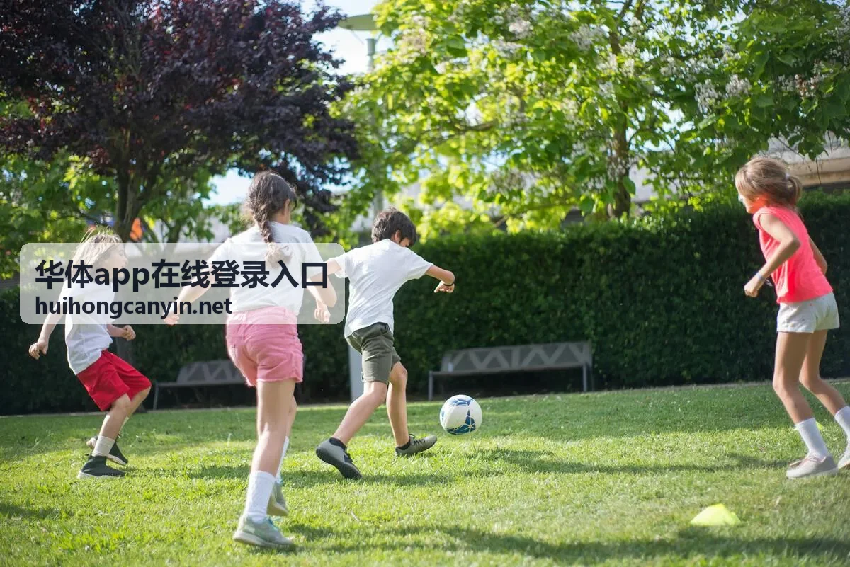 华体app在线登录入口失败排查流程