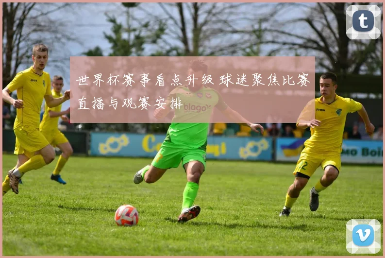 世界杯赛事看点升级 球迷聚焦比赛直播与观赛安排