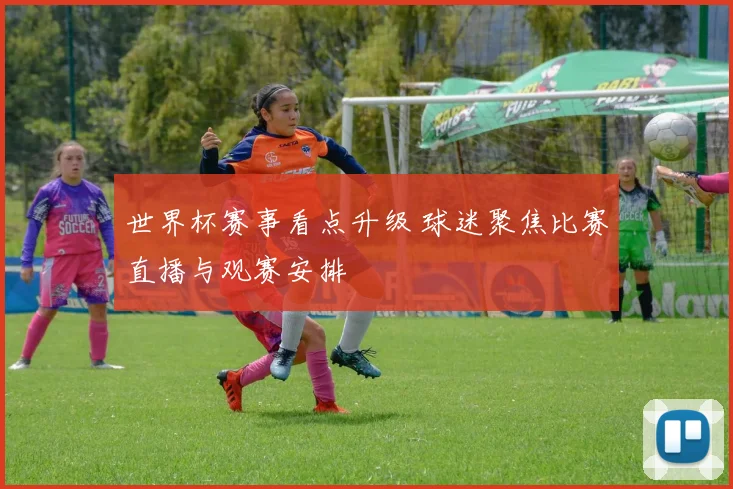 世界杯赛事看点升级 球迷聚焦比赛直播与观赛安排