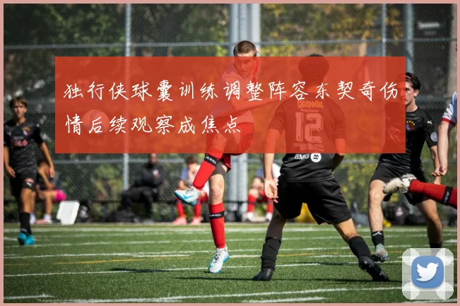 独行侠球囊训练调整阵容东契奇伤情后续观察成焦点