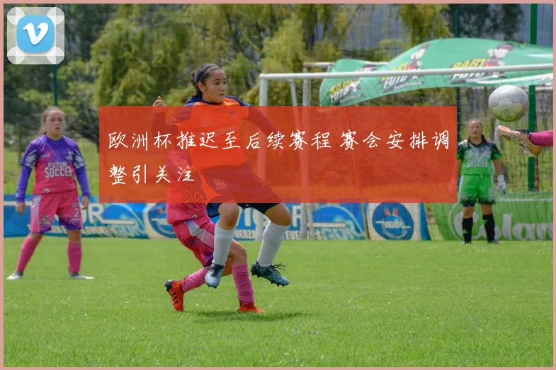 欧洲杯推迟至后续赛程 赛会安排调整引关注