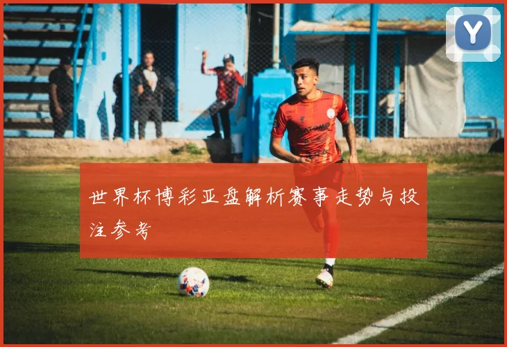 世界杯博彩亚盘解析赛事走势与投注参考
